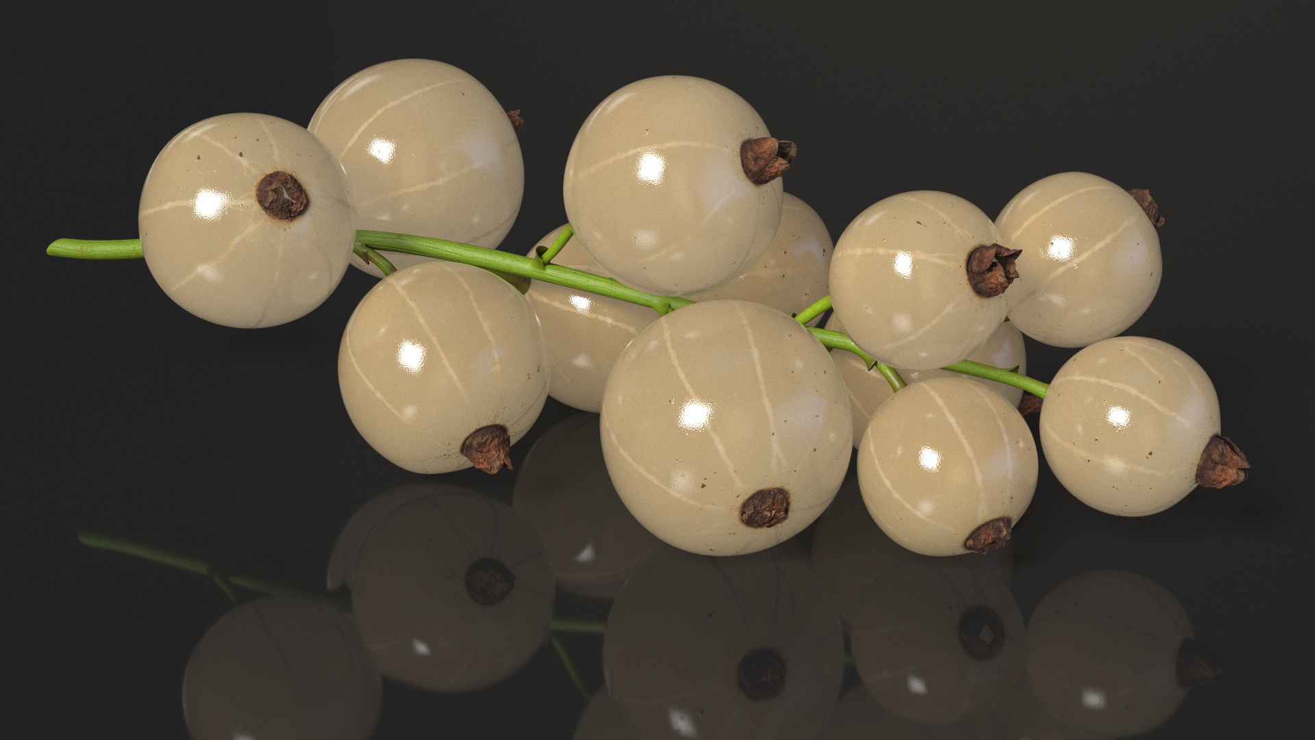 3D White Currant Berries Branch model