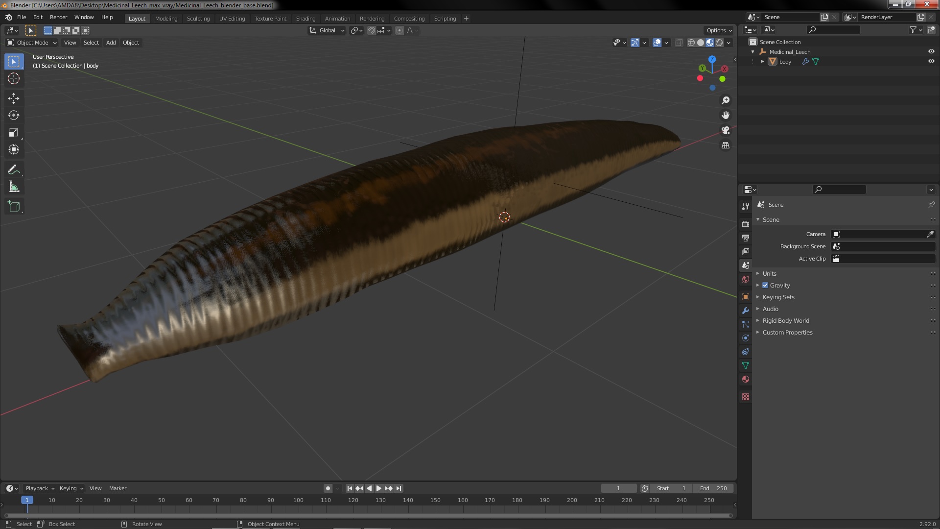 3D model Medicinal Leech