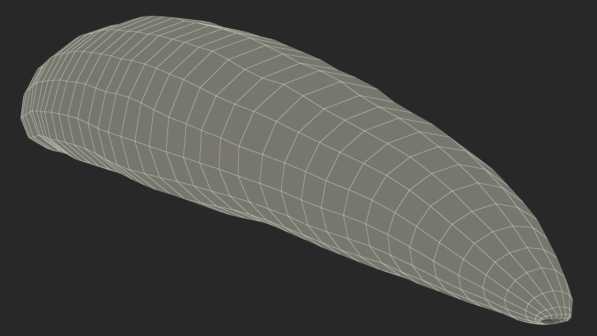 3D model Medicinal Leech