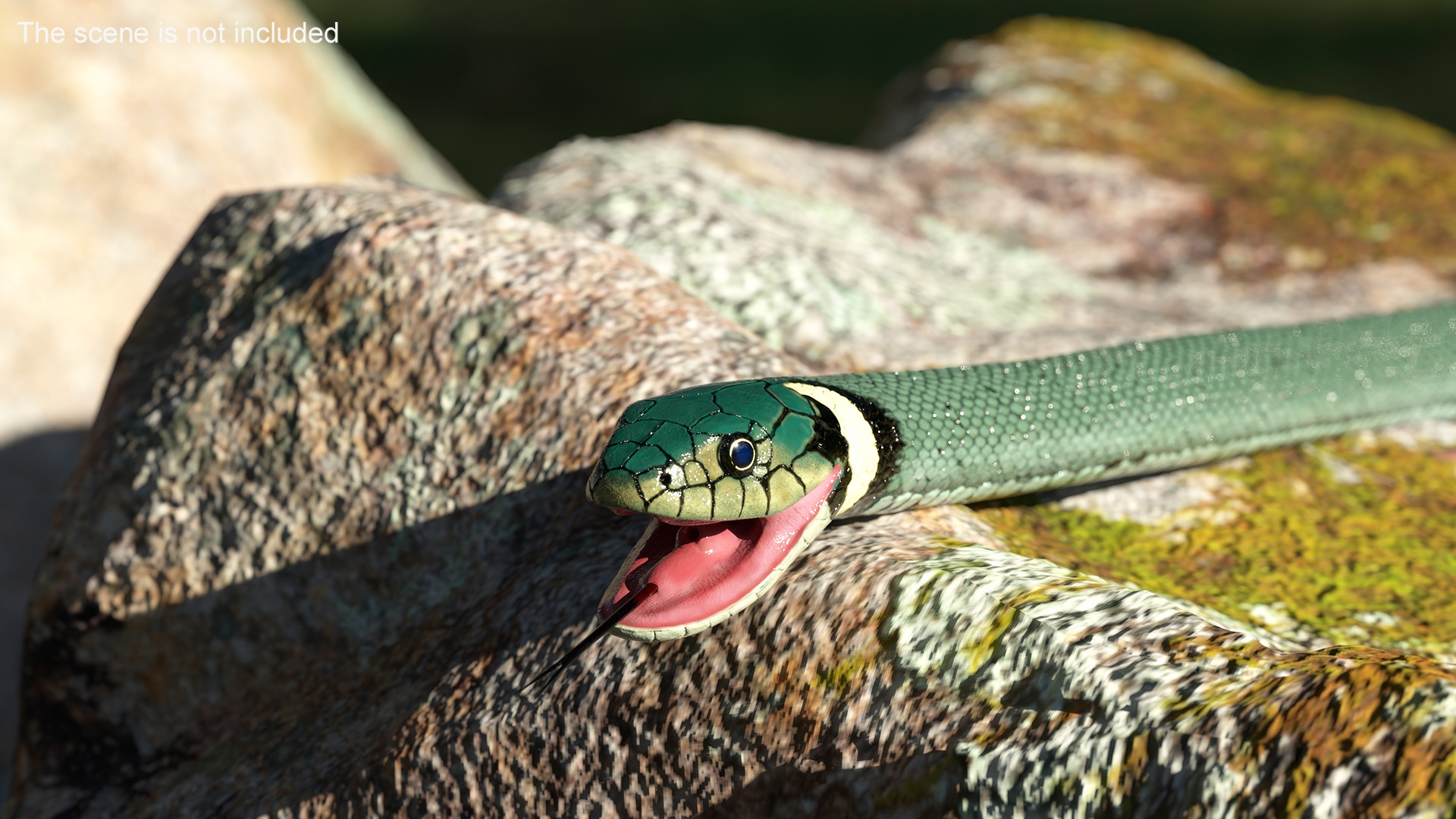 3D Eurasian Grass Snake Green