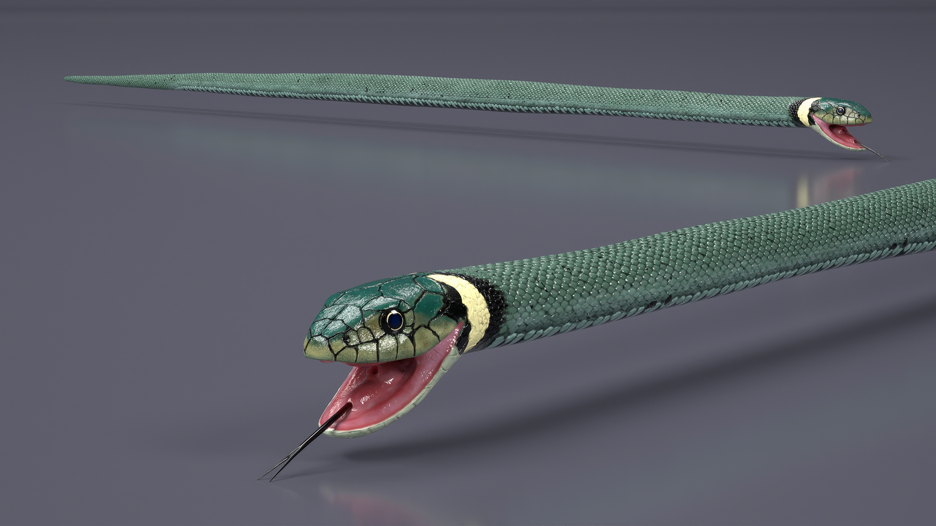 3D Eurasian Grass Snake Green