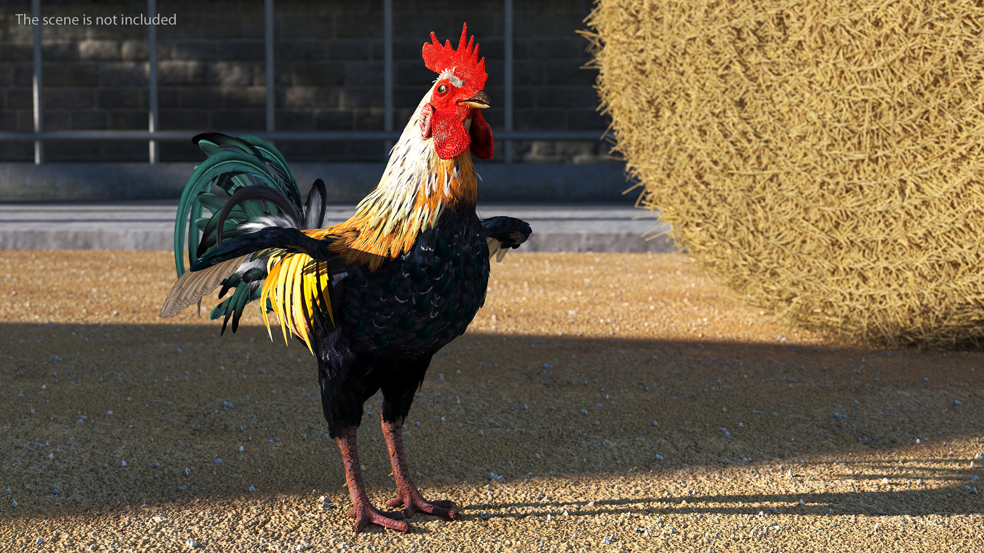 3D Rainbow Rooster Rigged for Maya