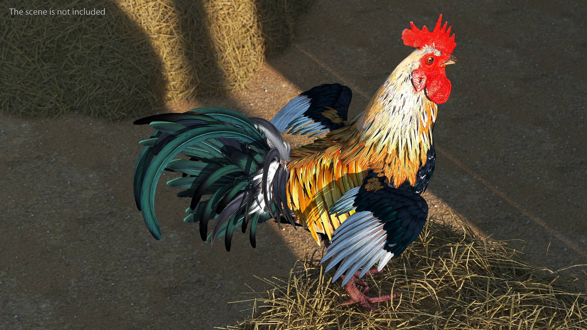 3D Rainbow Rooster Rigged for Maya