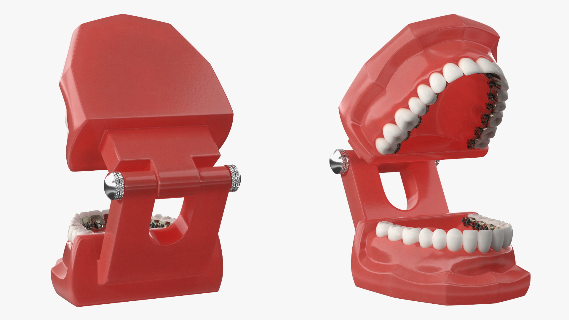 3D Lingual Braces on Typodont Teeth Model model