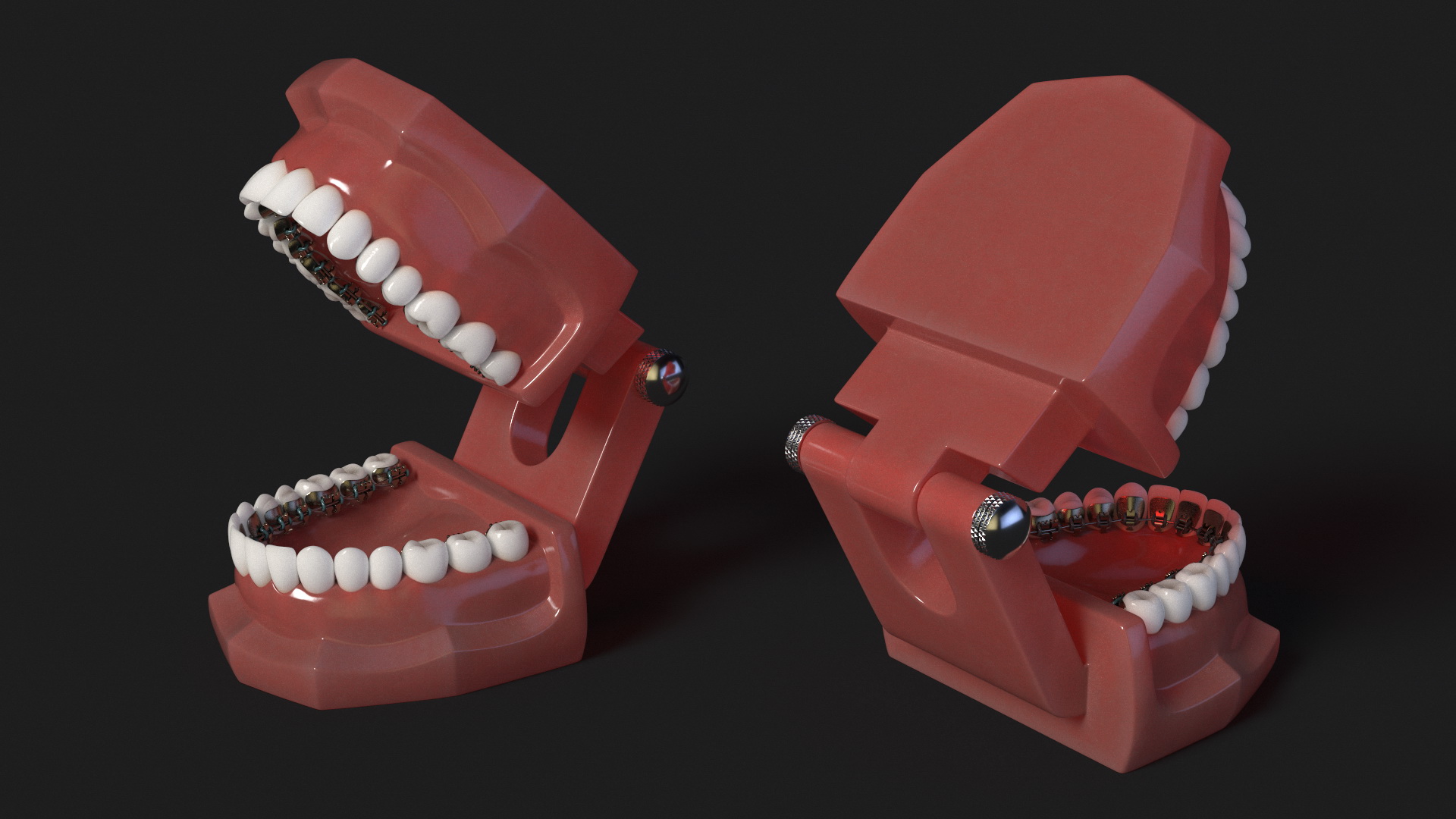 3D Lingual Braces on Typodont Teeth Model model