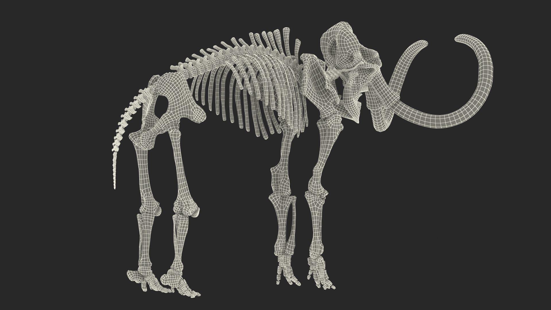 3D Mammoth Skeleton Old Bones