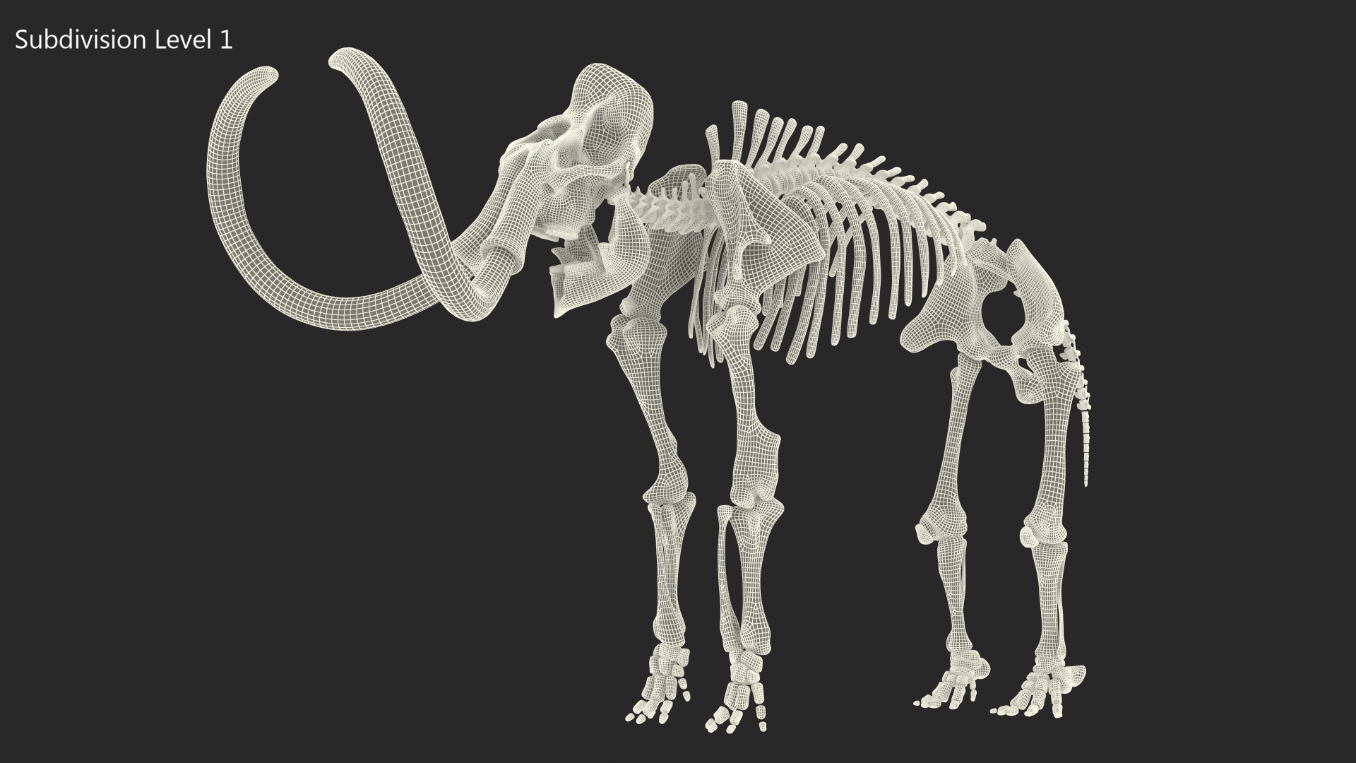 3D Mammoth Skeleton Old Bones