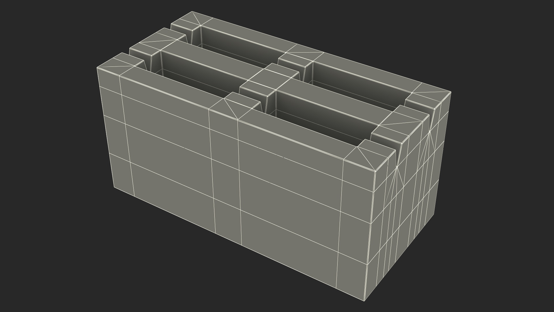 3D Expanded Clay Concrete Block 4 Slots