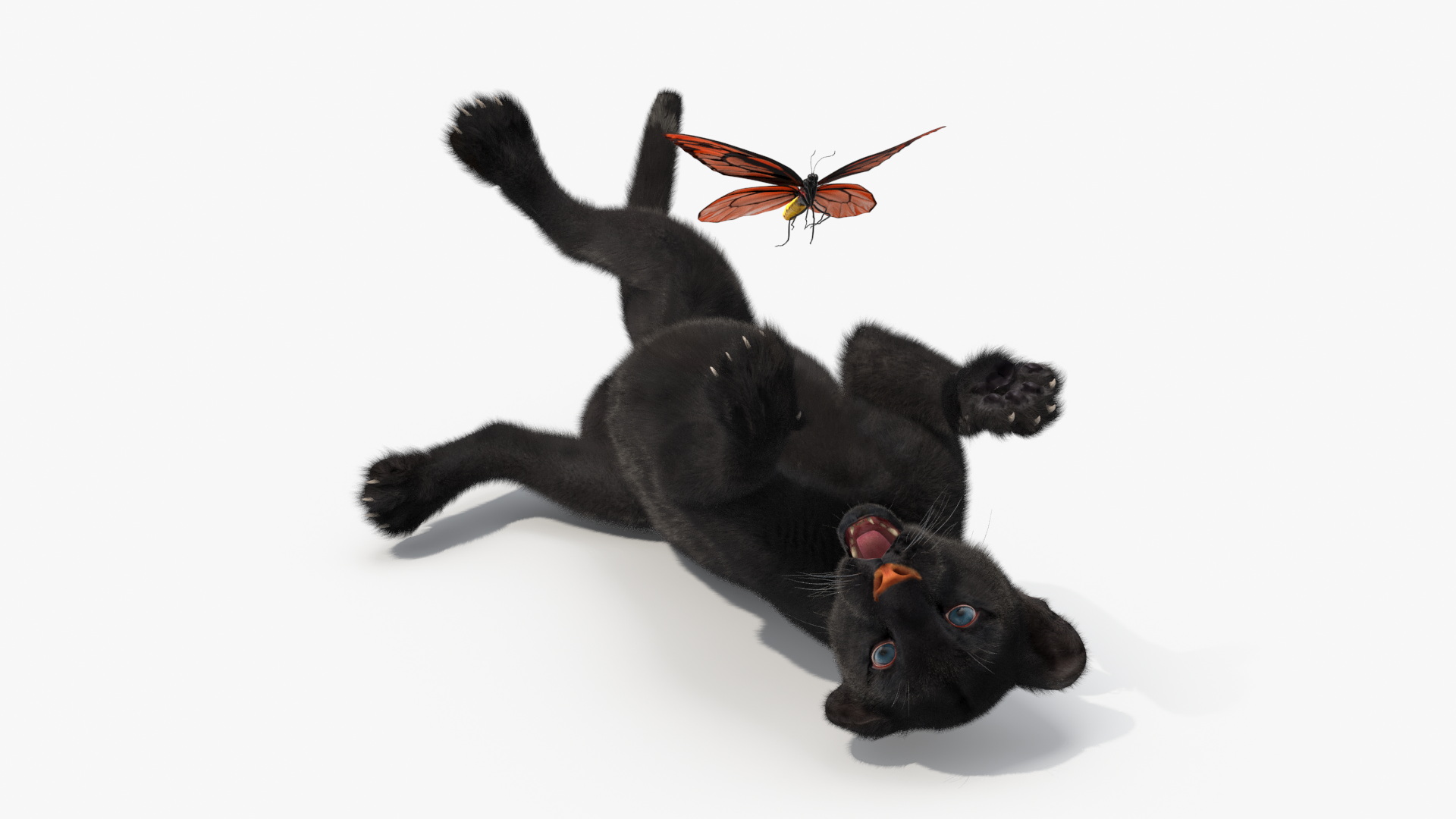 Playful Black Panther Cub with Butterfly Fur 3D model