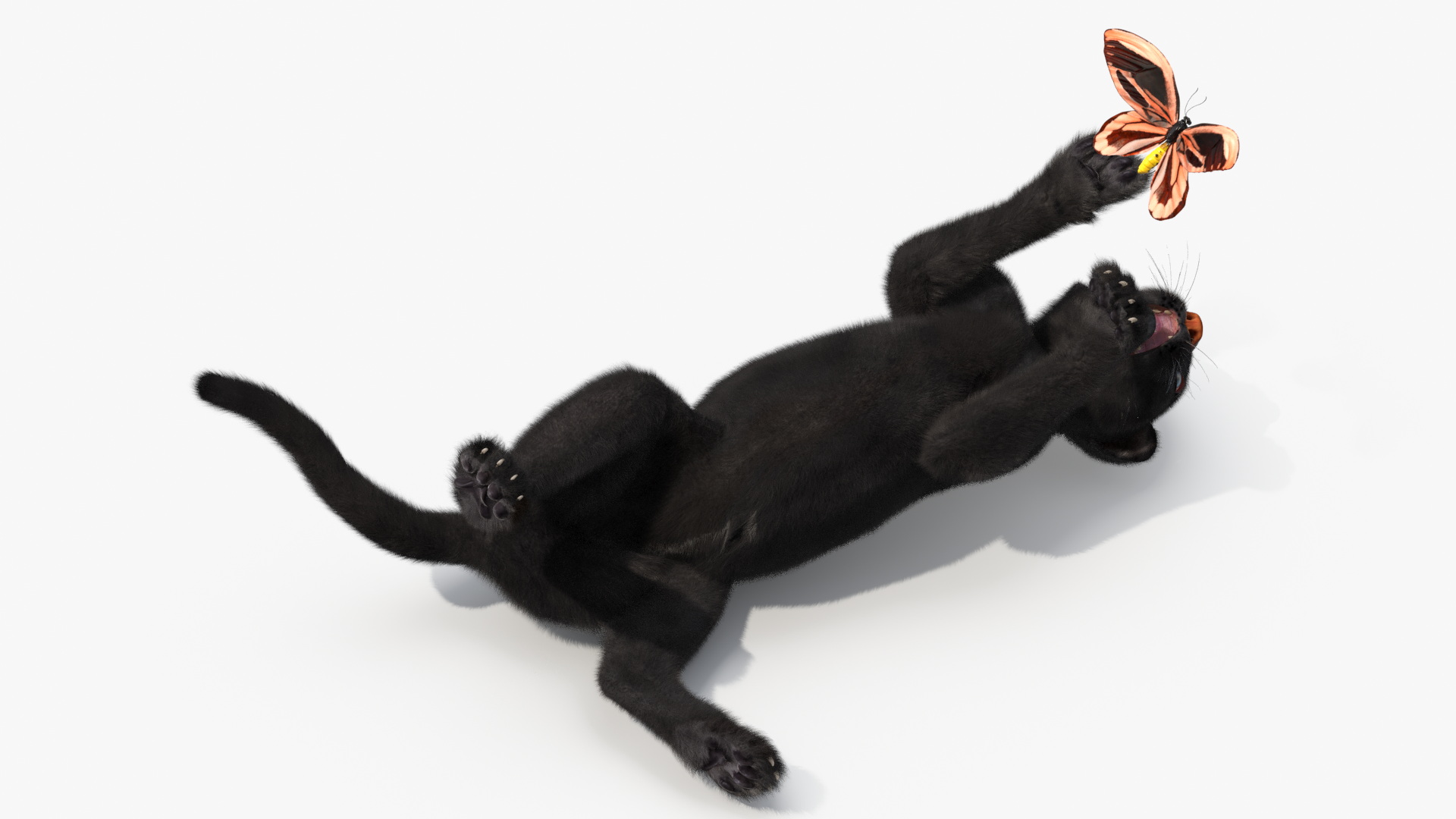 Playful Black Panther Cub with Butterfly Fur 3D model