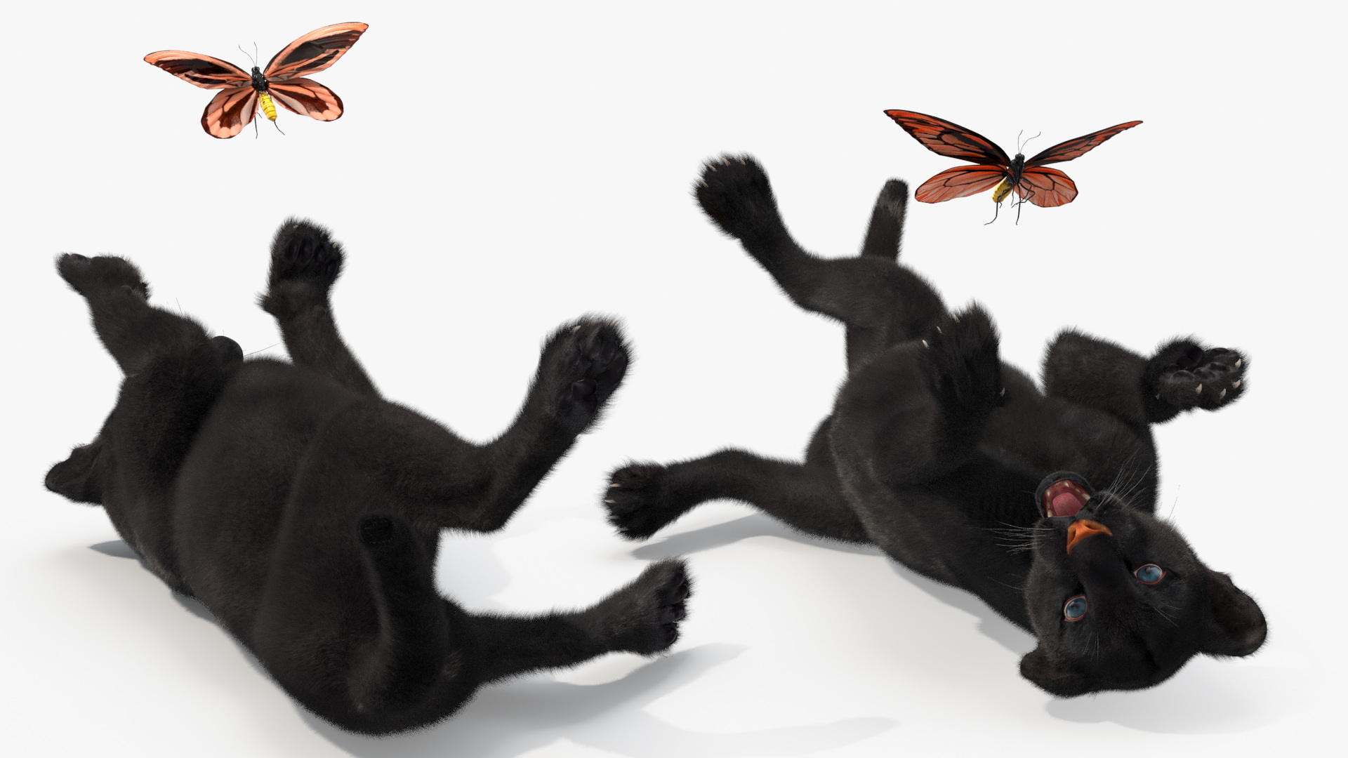 Playful Black Panther Cub with Butterfly Fur 3D model