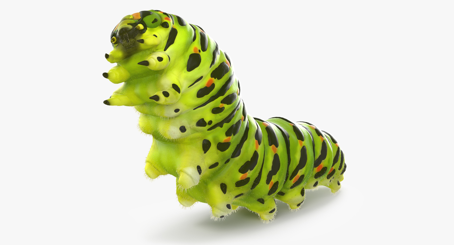 Caterpillar Rigged with Fur 3D