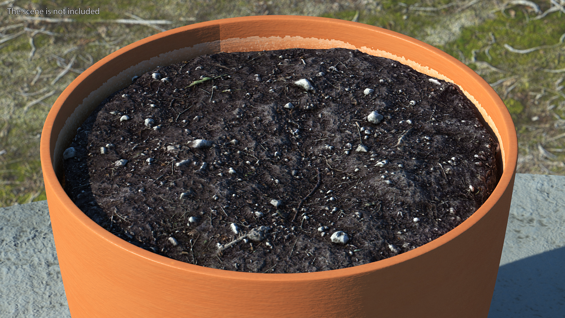 3D Pot with Soil model