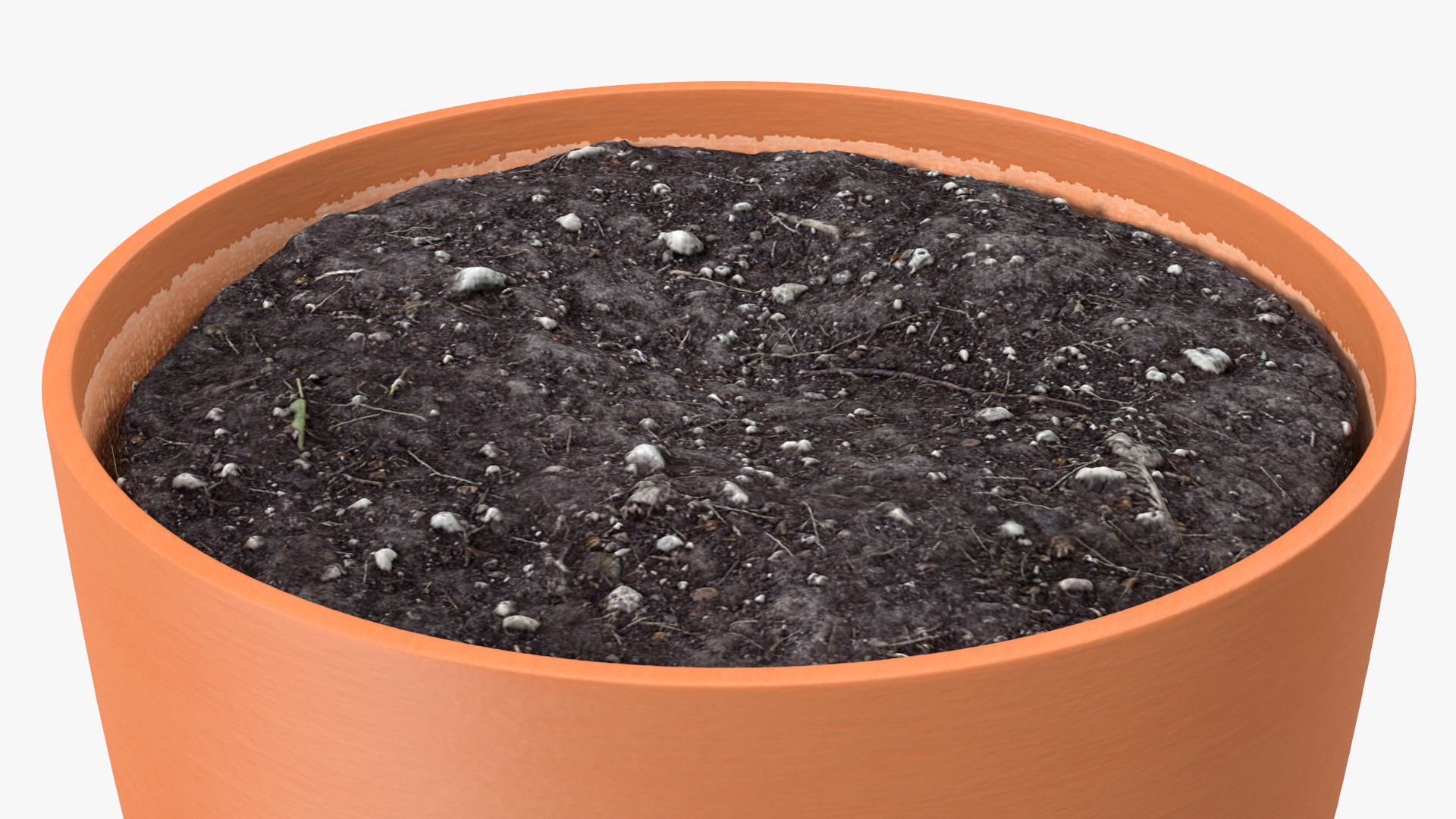 3D Pot with Soil model