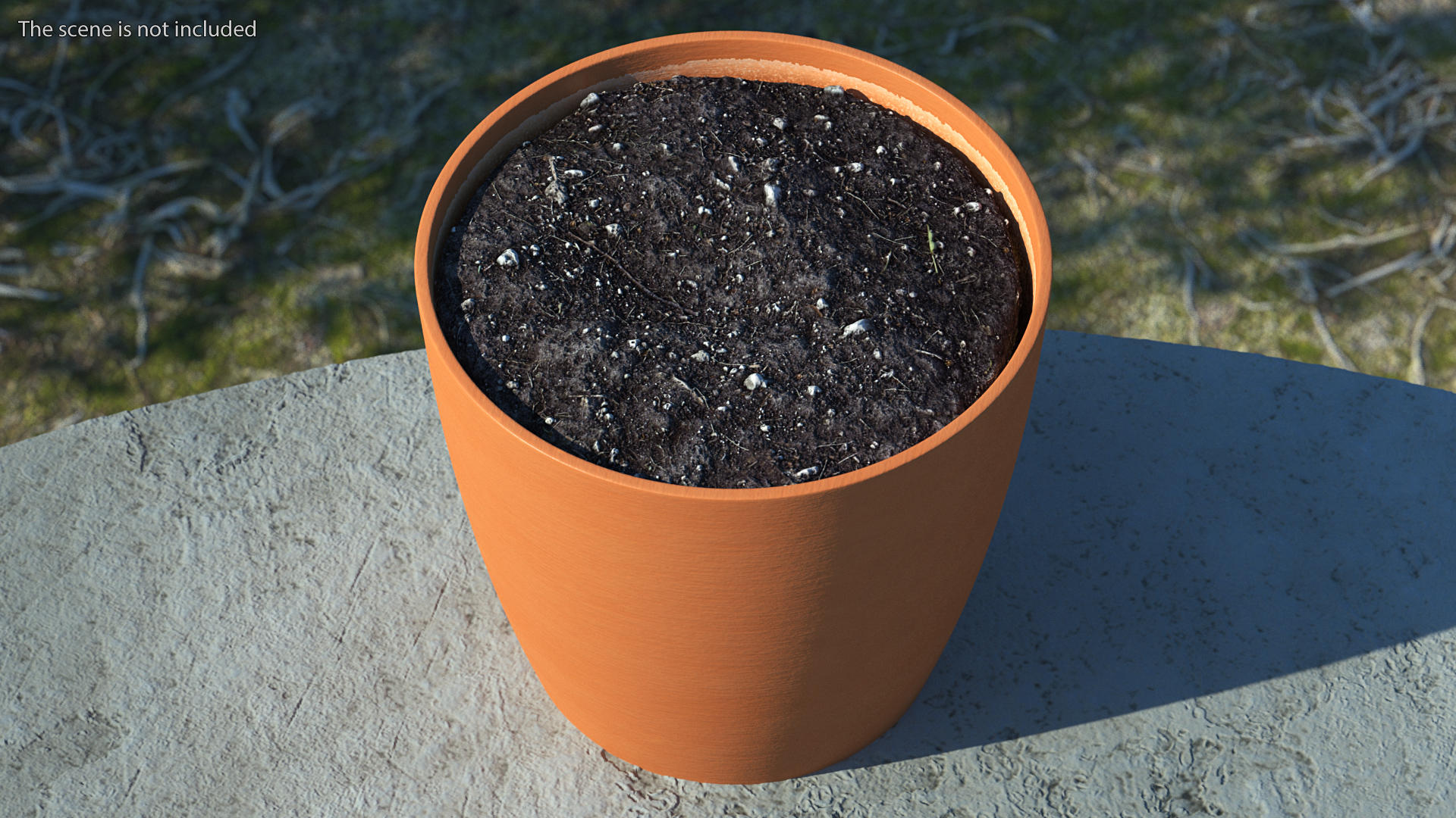 3D Pot with Soil model