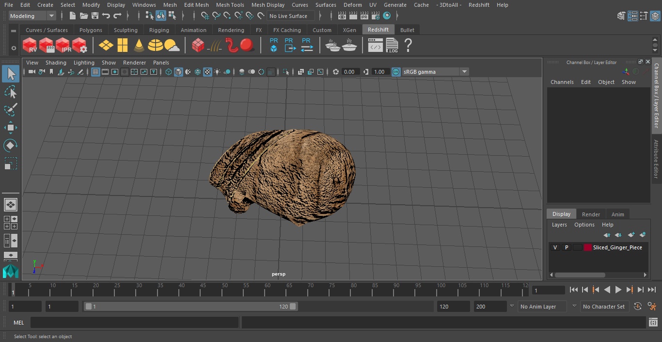 Sliced Ginger Piece 3D model