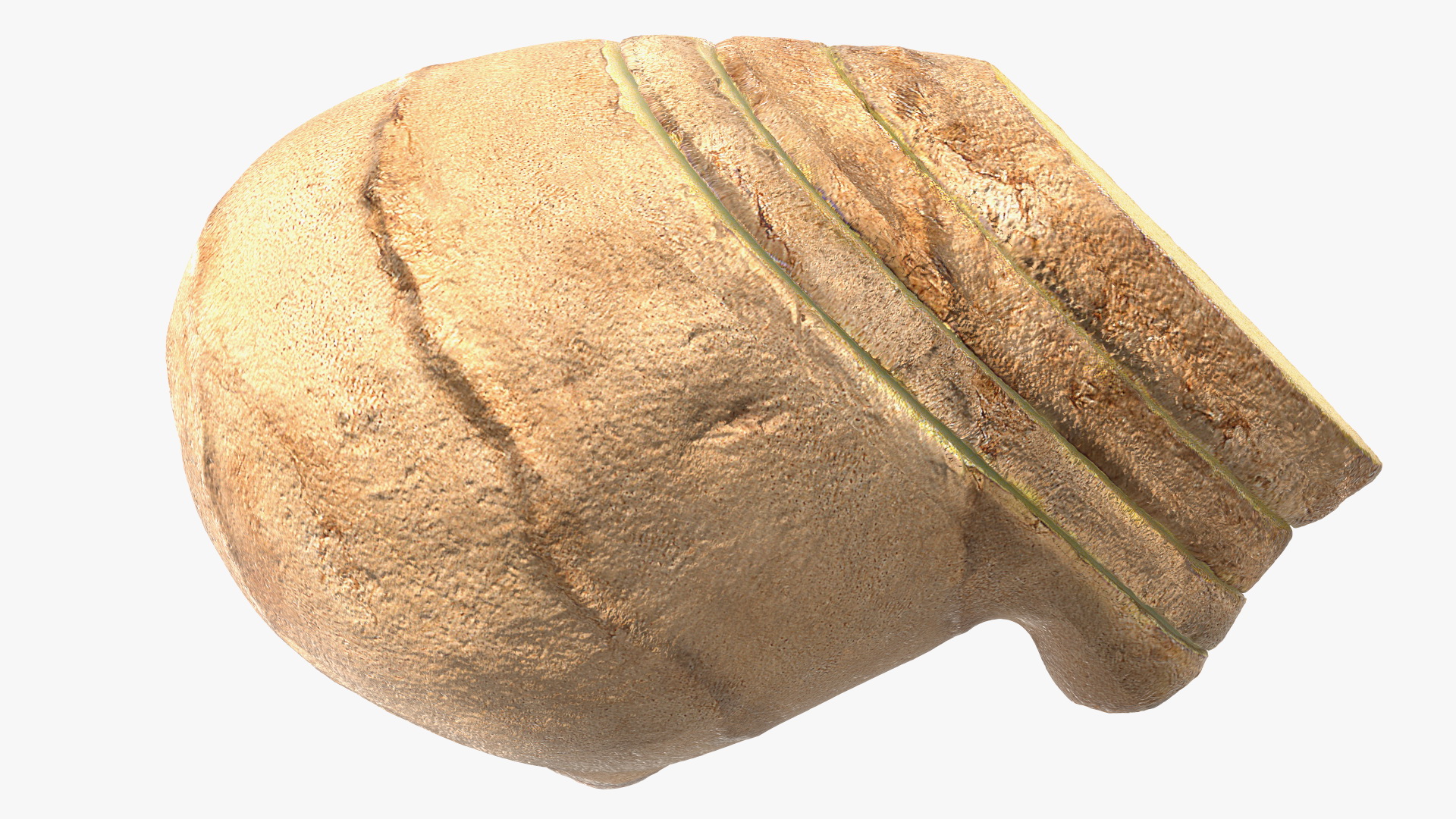 Sliced Ginger Piece 3D model