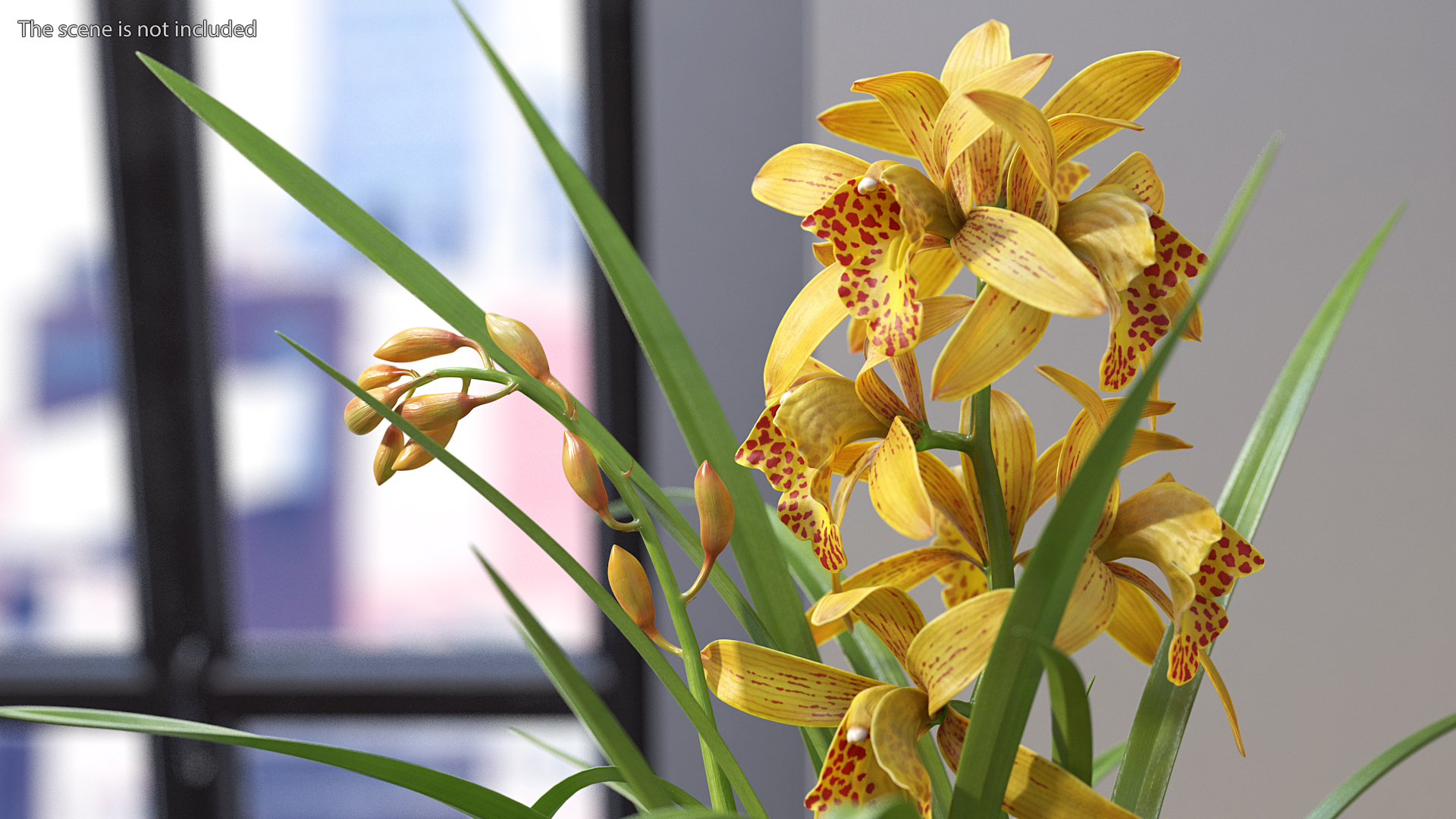 Yellow Orchid Pot 3D