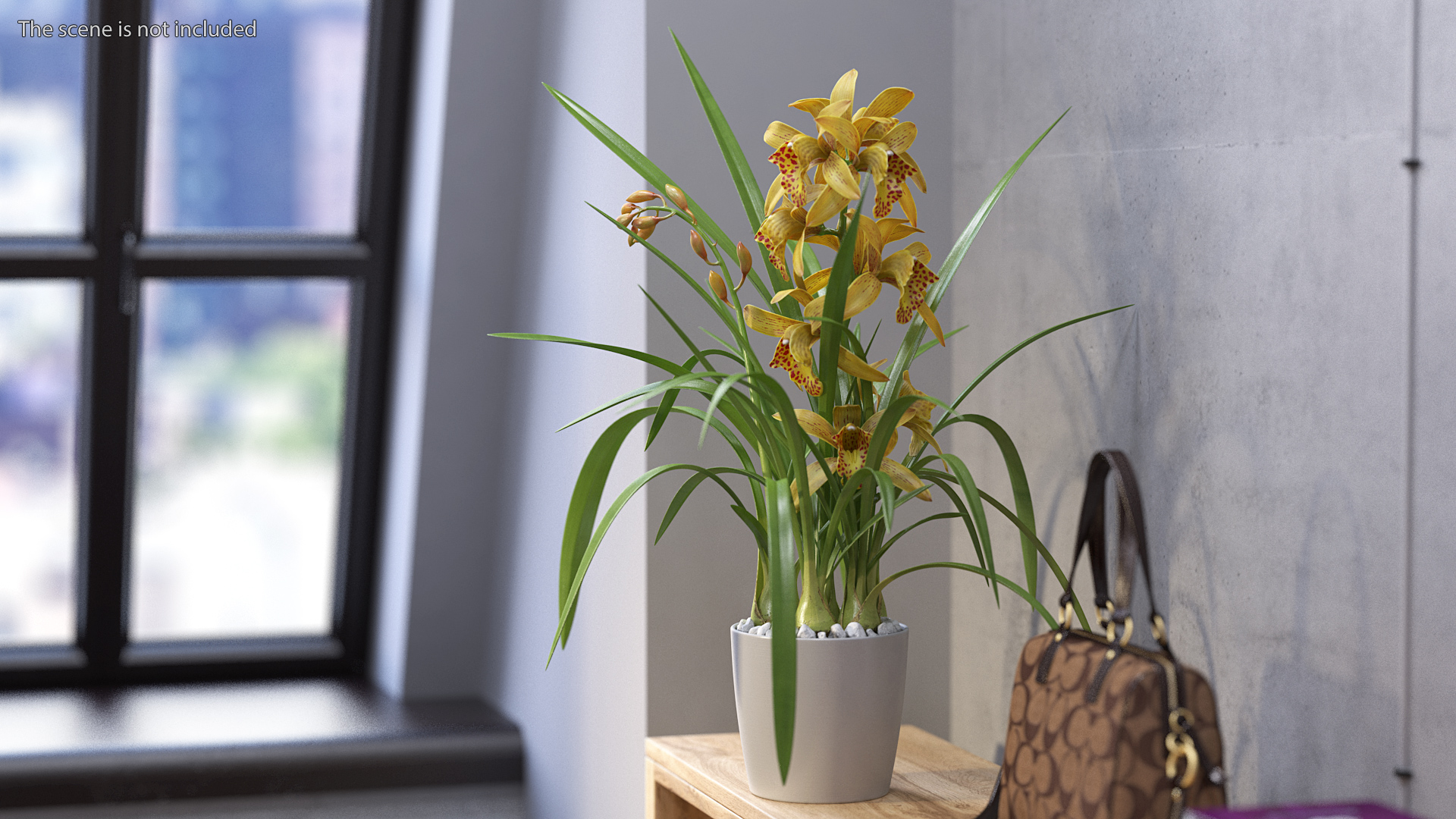 Yellow Orchid Pot 3D