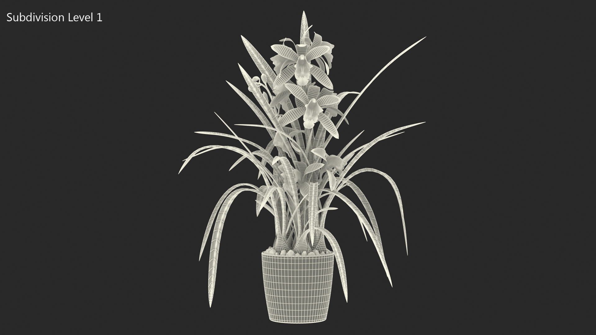 Yellow Orchid Pot 3D