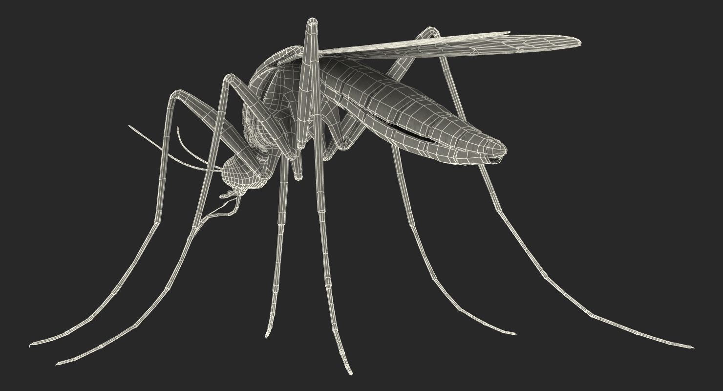 Mosquito Rigged with Fur 3D model