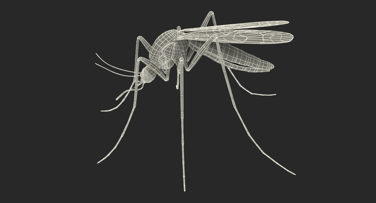 Mosquito Rigged with Fur 3D model