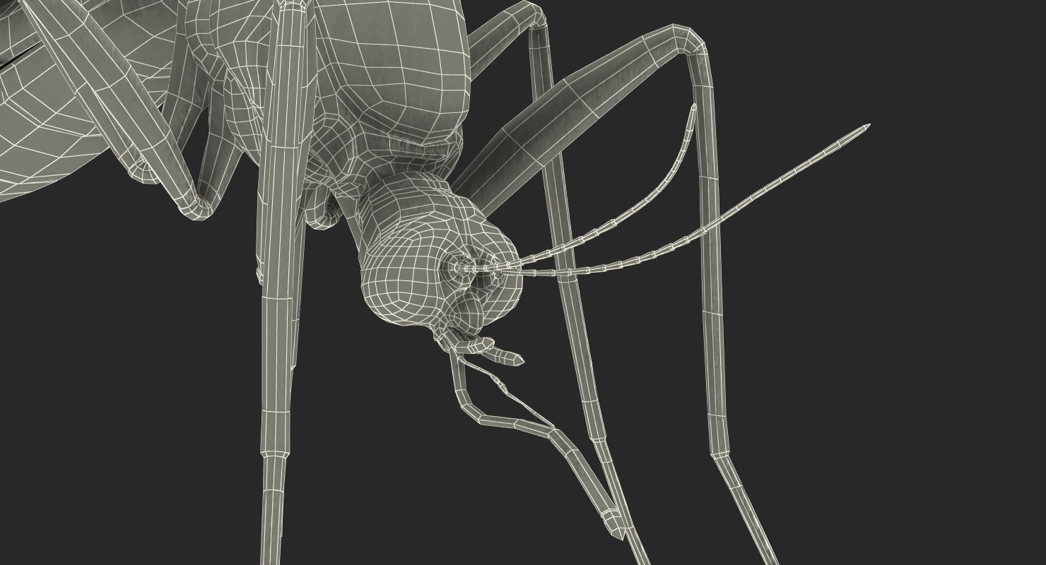 Mosquito Rigged with Fur 3D model