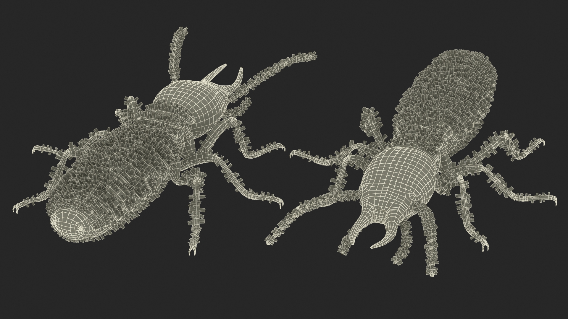 Termite Rigged 3D model