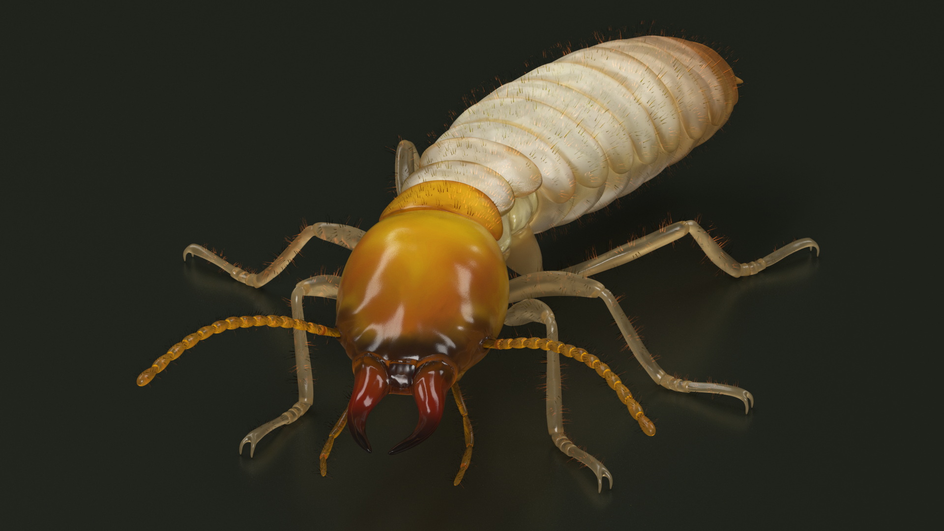 Termite Rigged 3D model