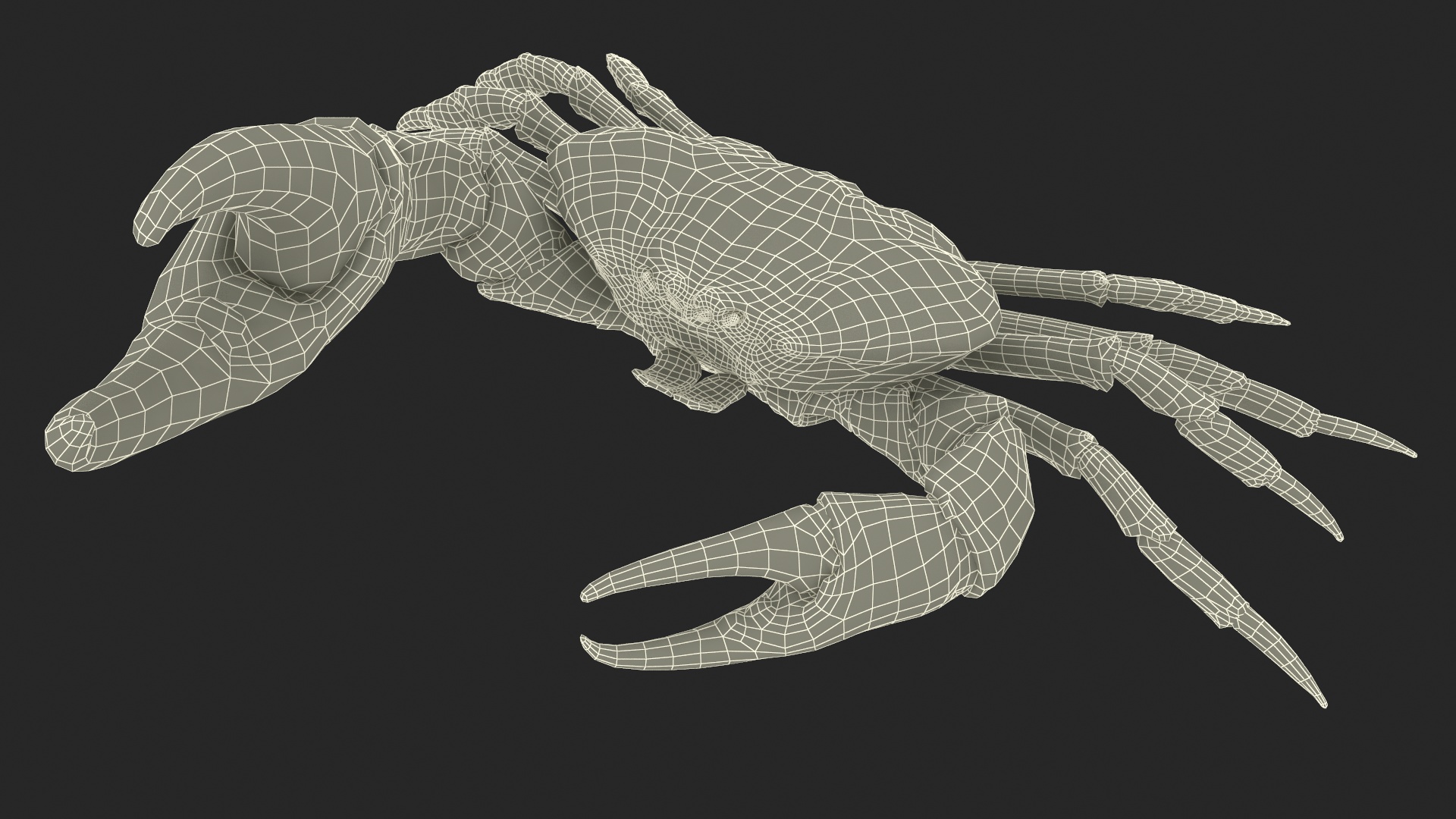 3D Deepwater Giant Crab Rigged for Maya