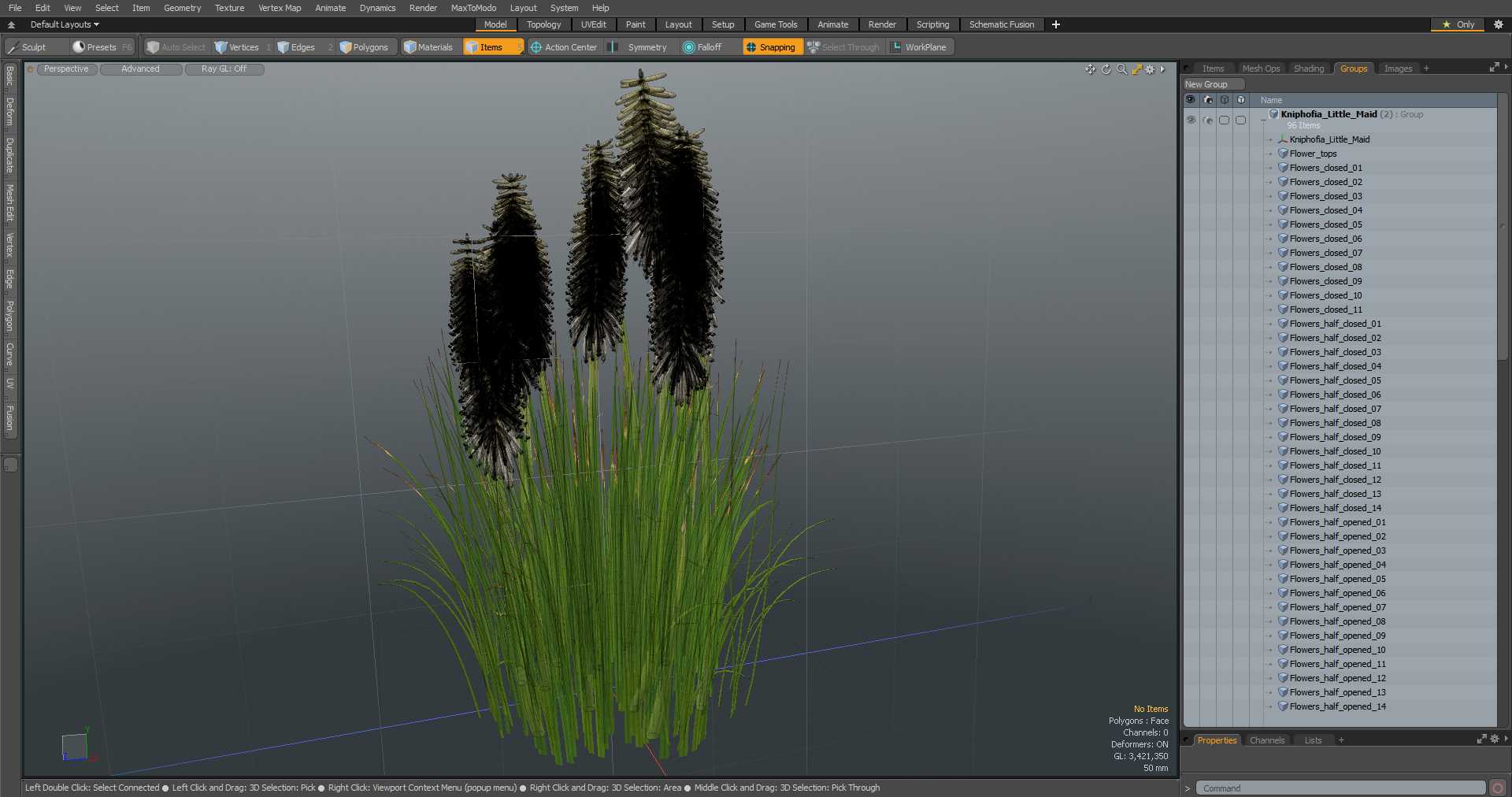 3D Kniphofia Little Maid