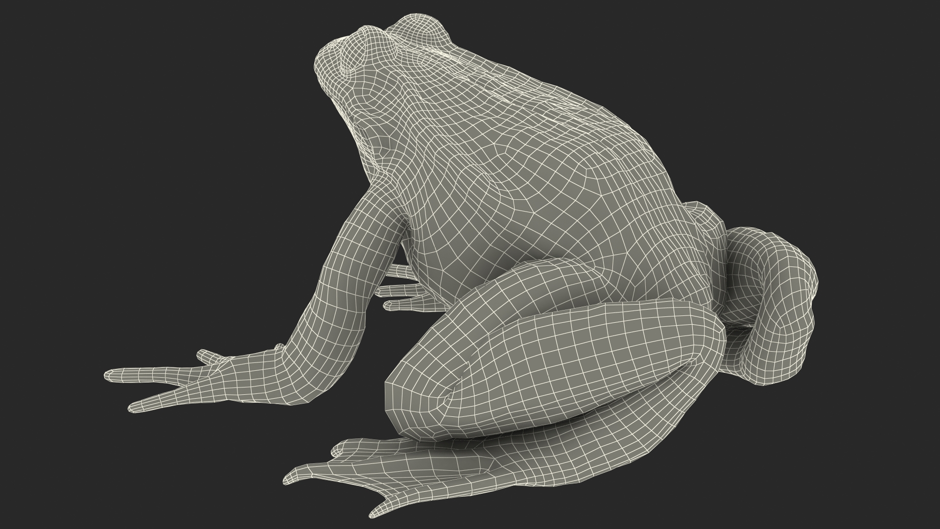 3D Frog Rigged