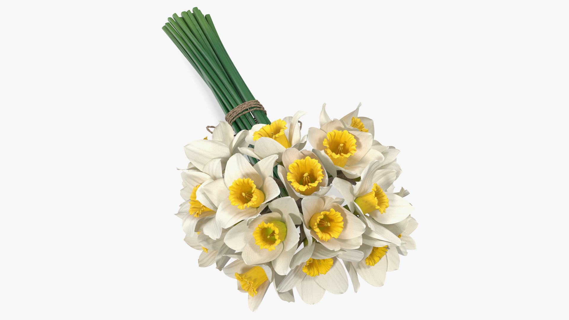 3D White Jonquil Bouquet