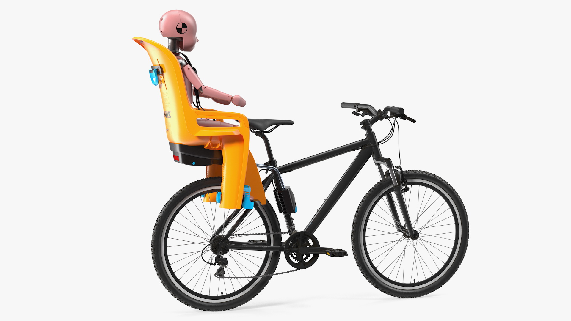 3D Bike with Child Crash Test Dummy in Thule Safety Seat model