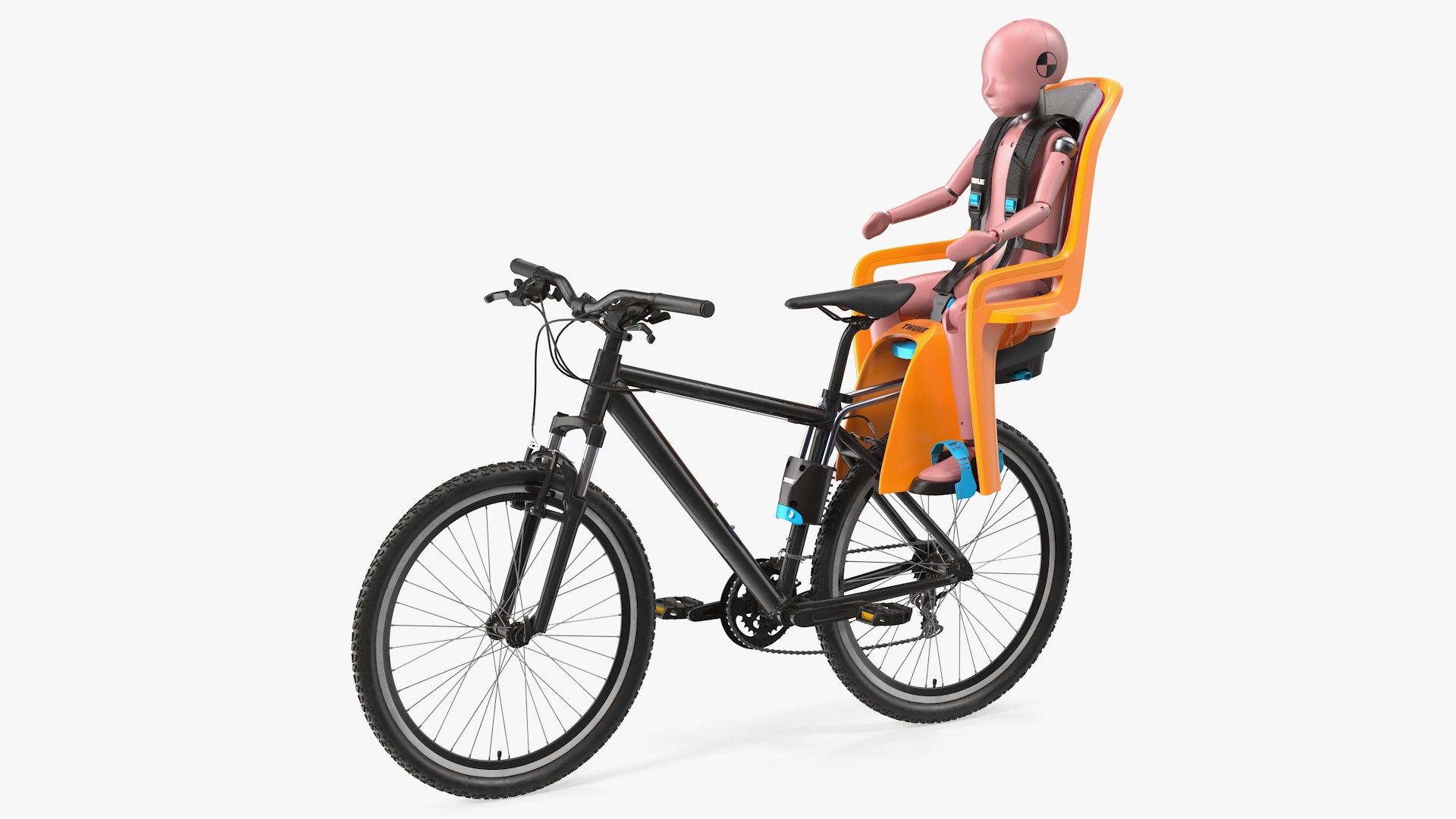 3D Bike with Child Crash Test Dummy in Thule Safety Seat model