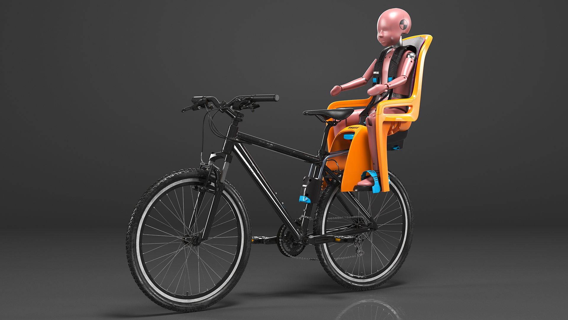 3D Bike with Child Crash Test Dummy in Thule Safety Seat model