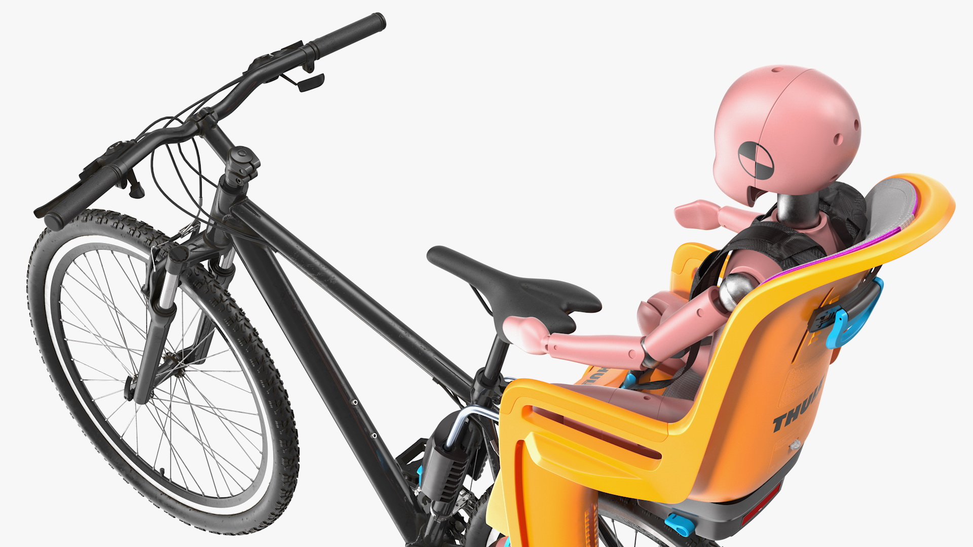 3D Bike with Child Crash Test Dummy in Thule Safety Seat model