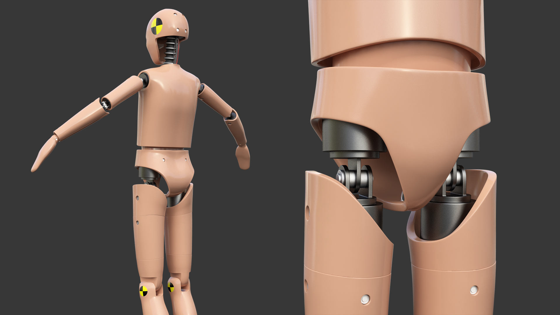 Teenager Crash Test Dummy Rigged 3D