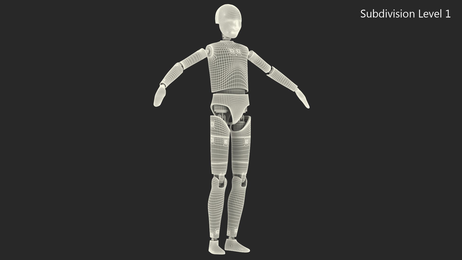 Teenager Crash Test Dummy Rigged 3D