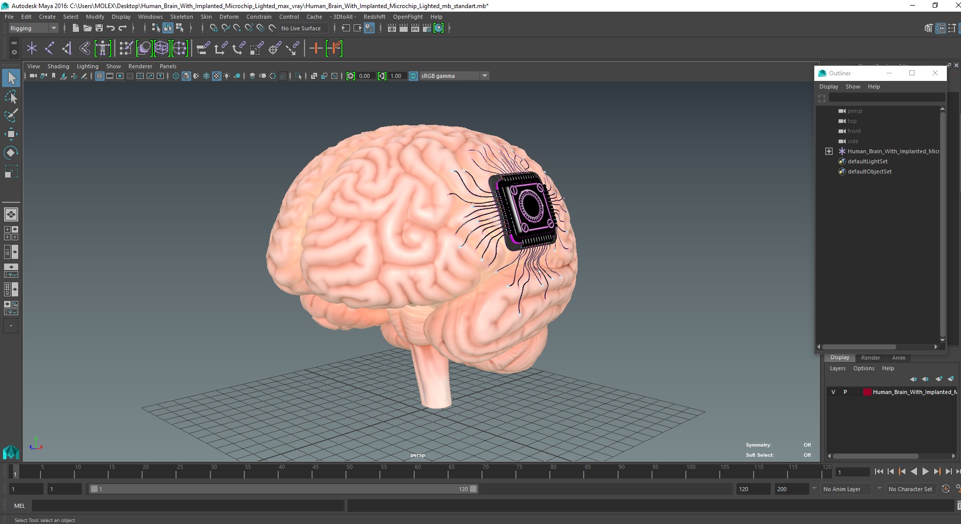 Human Brain With Implanted Microchip Lighted 3D model