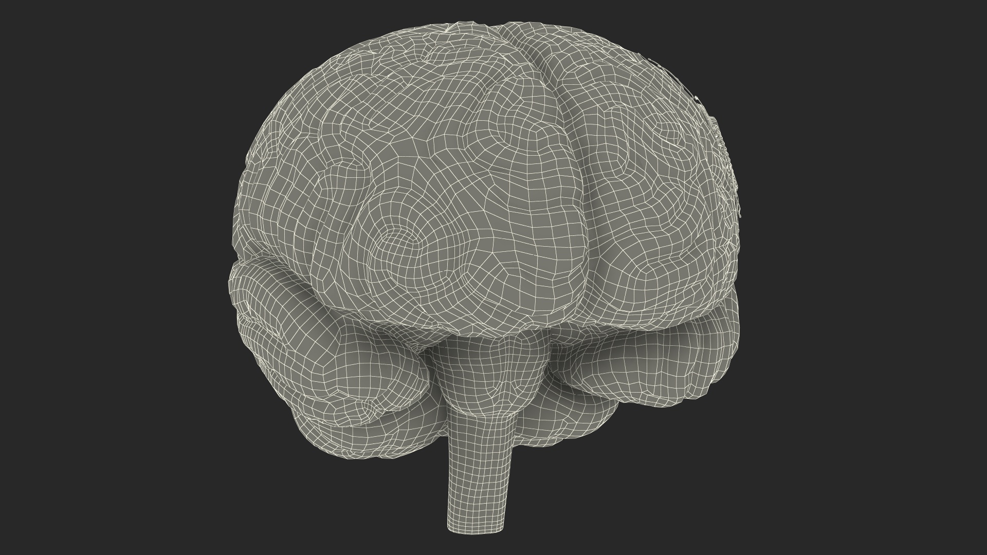 Human Brain With Implanted Microchip Lighted 3D model