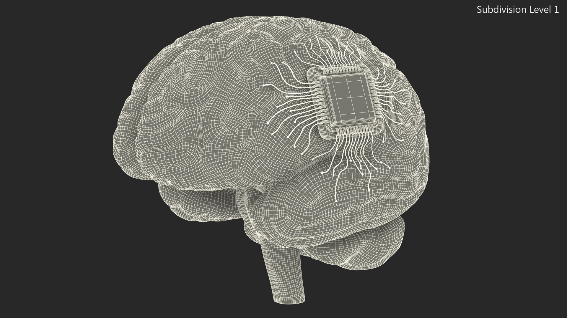 Human Brain With Implanted Microchip Lighted 3D model