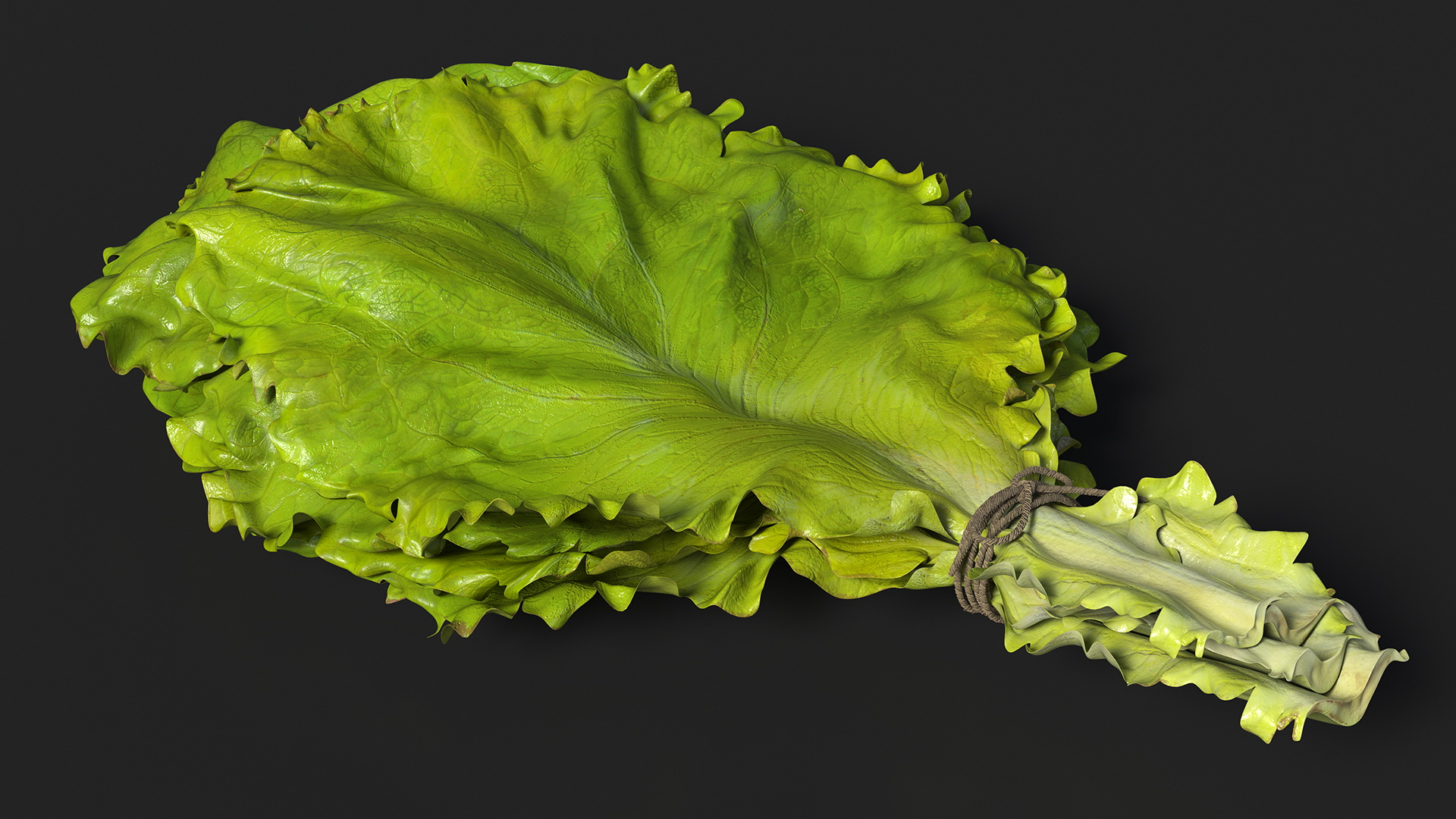 3D model Bunch of Lettuce Fur