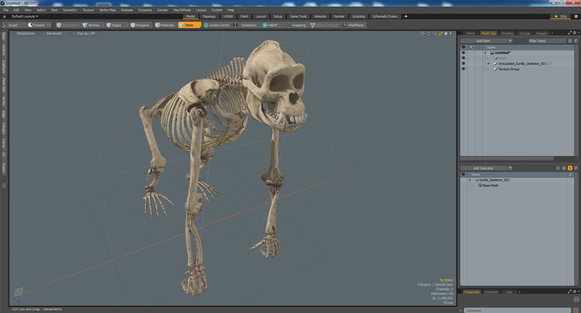 3D Articulated Gorilla Skeleton model