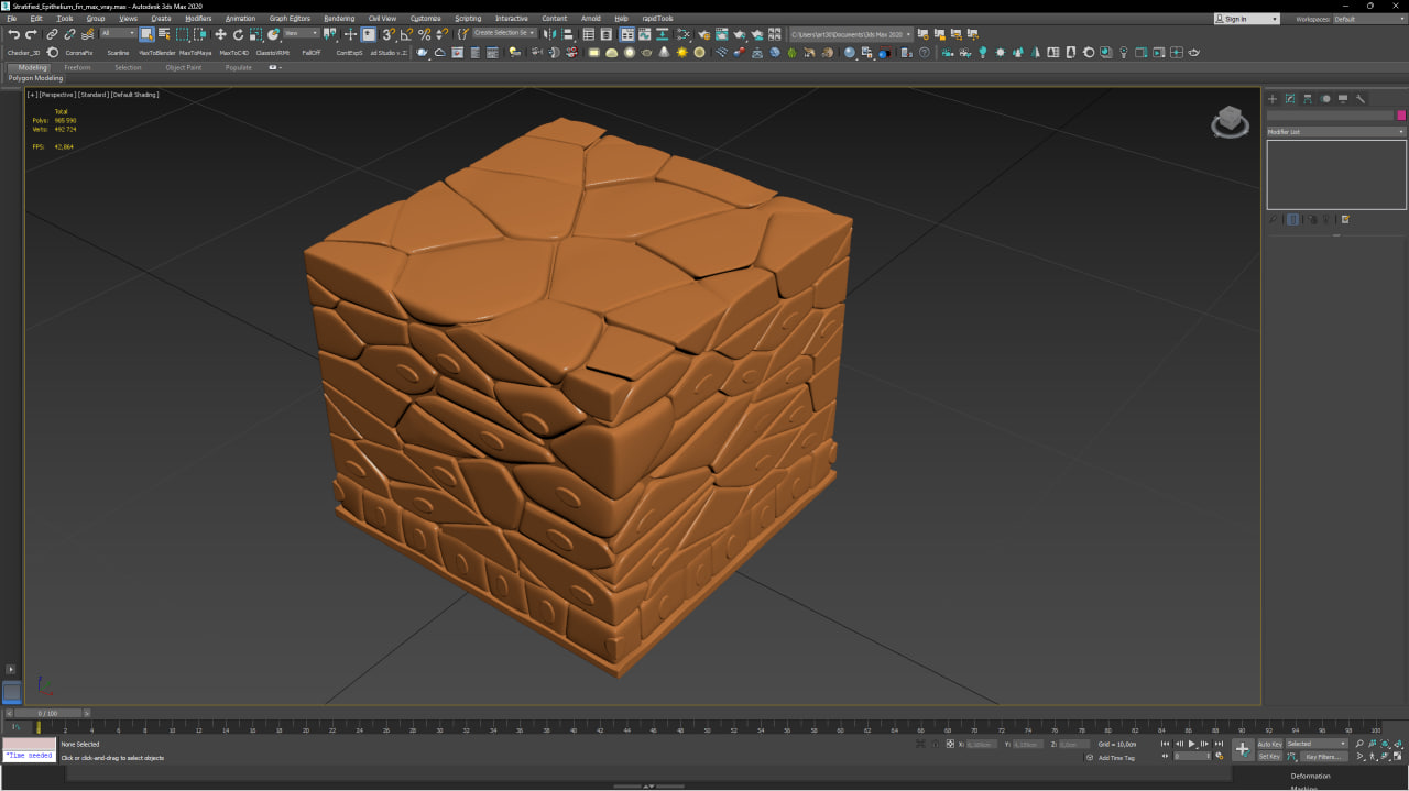 Stratified Epithelium for 3D Print 3D model