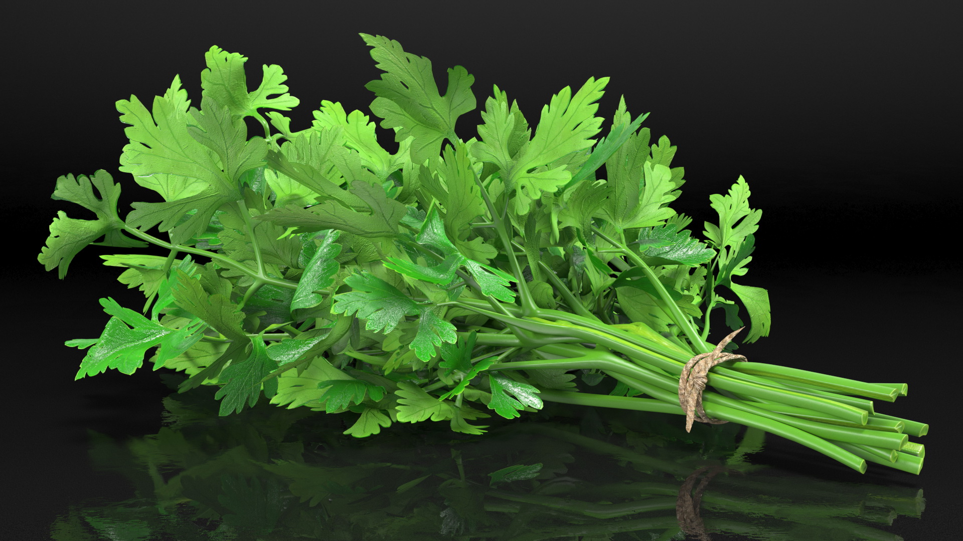 3D Bunch of Parsley