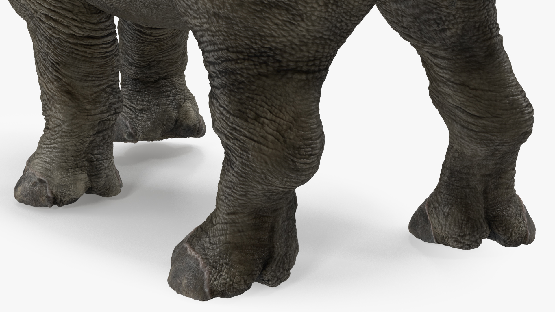 Baby Rhino Rigged 3D