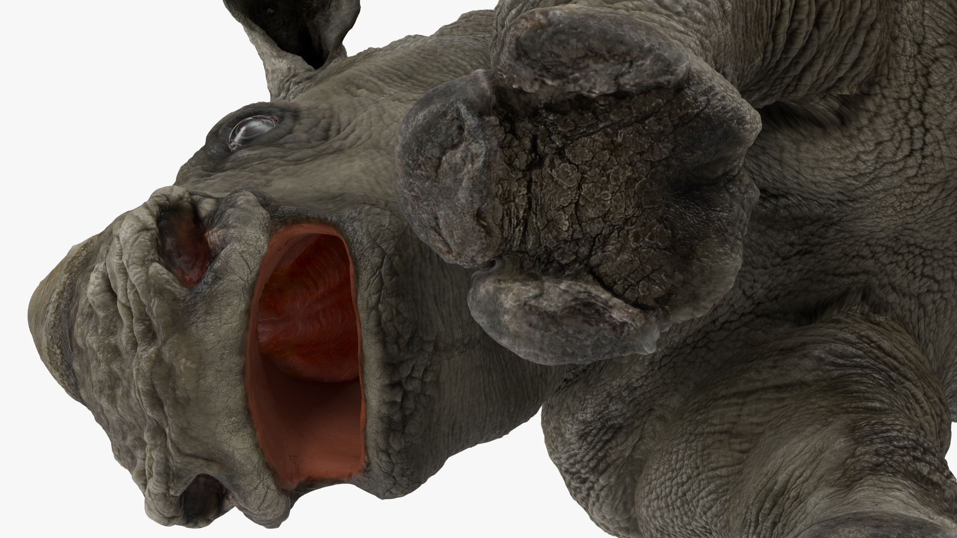 Baby Rhino Rigged 3D