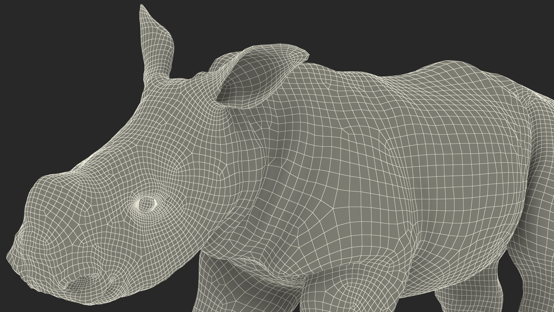 Baby Rhino Rigged 3D