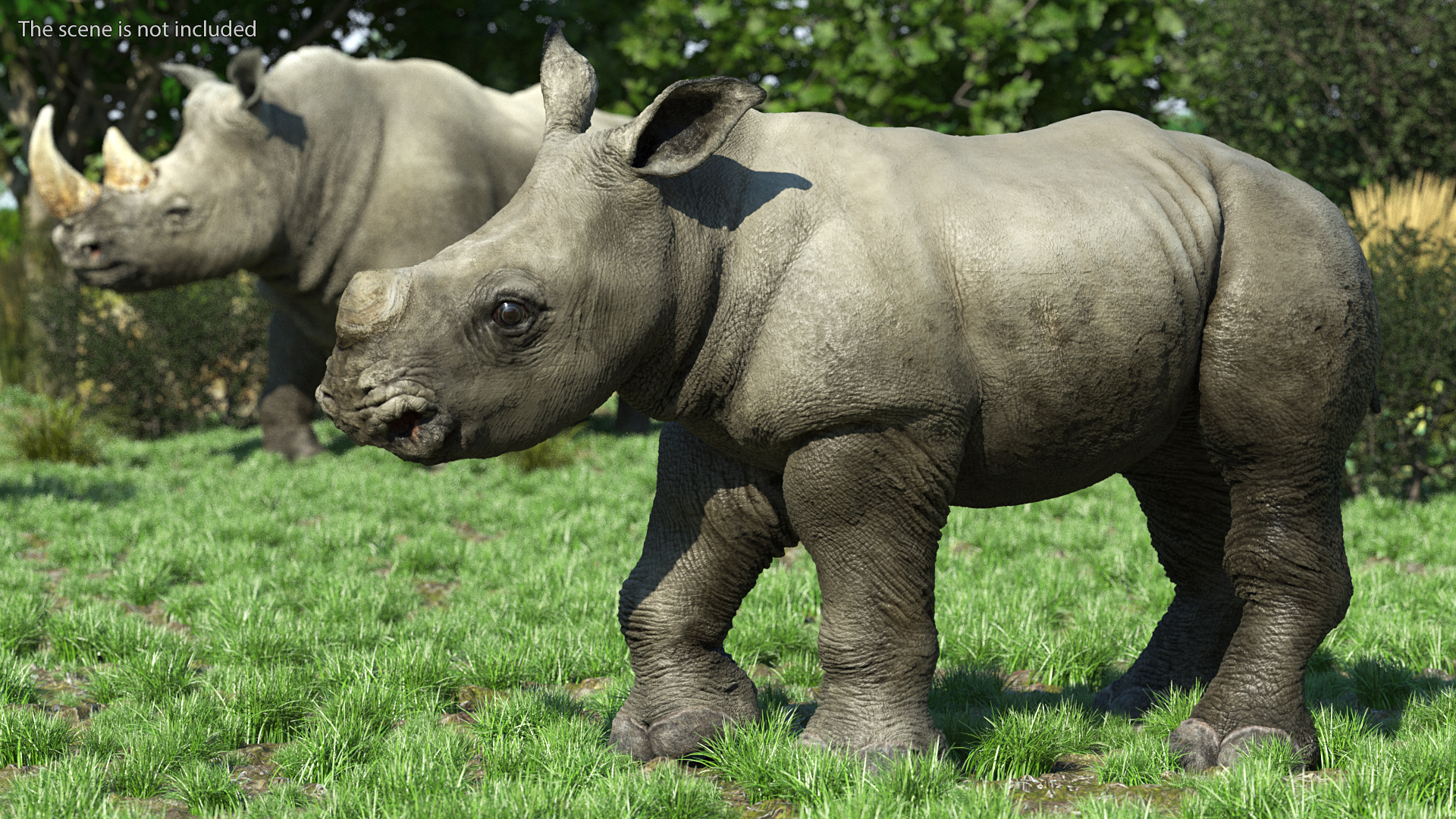 Baby Rhino Rigged 3D